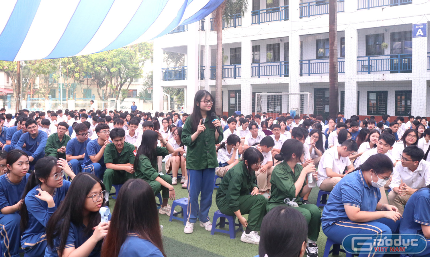 gdvn_thuy-mi.jpg
