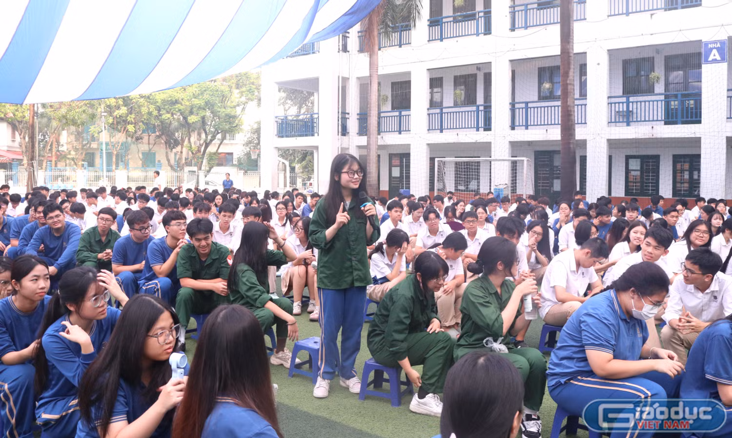 gdvn_thuy-mi.jpg