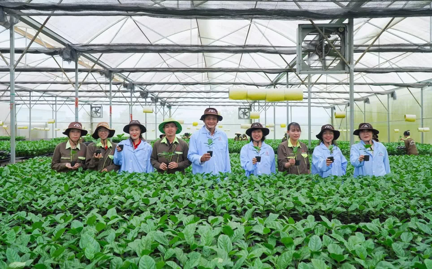 sinh-vien-hue.jpg