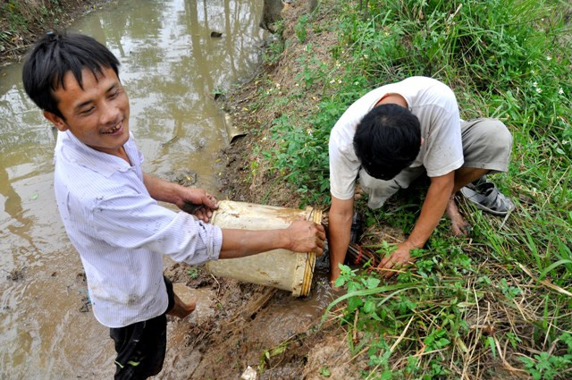 Phương pháp thủ công như: dùng chó săn, đổ nước vào hang chuột… của người dân Canh Nậu mang lại hiệu quả cao.