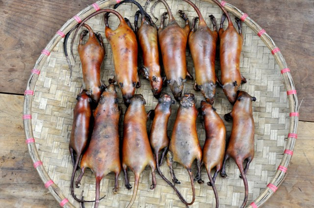 Giá mỗi cân thịt chuột vào những thời điểm hiếm lên tới 100.000 đồng/ kg, còn thường ngày chỉ khoảng 70.000/ kg.