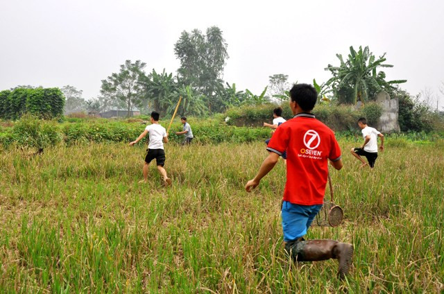 Các thanh niên trong làng thường tranh thủ thời gian rảnh rỗi lại kéo nhau ra đồng săn chuột.