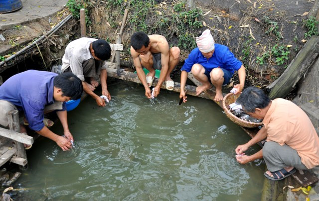 Anh Nguyễn Đức Sơn chia sẻ kinh nghiệm trong việc làm lông chuột: “Làm lông chuột thì cần phải làm dưới nước, lông chuột sẽ rất dễ làm, nếu thiếu nước sẽ bị bóc da chuột ngay”