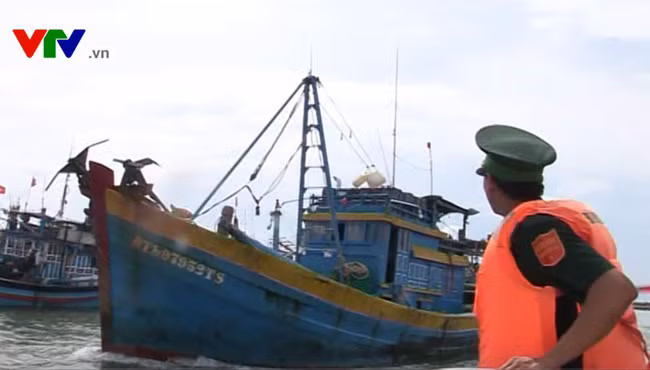  Cần theo dõi chặt thông tin bão số 6 để kịp thời ứng phó hiệu quả ảnh 2