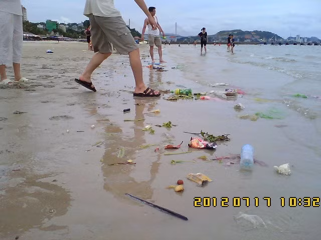 Đến chai, lọ, lá cây, túi đựng, lương thực, thực phẩm...