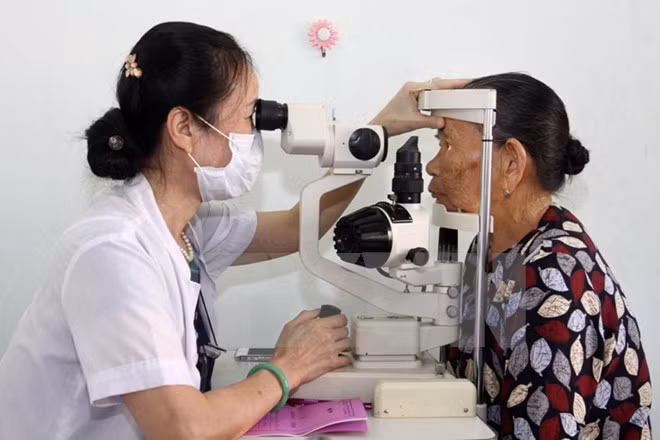 Thủ tướng phê duyệt chiến lược quốc gia phòng chống mù lòa ảnh 1
