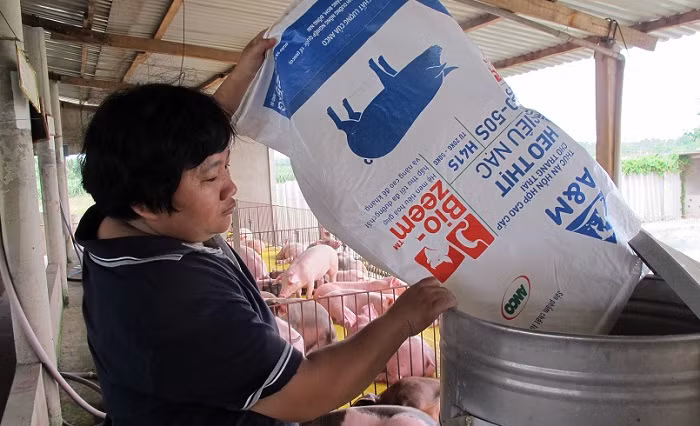 Masan đã hoàn tất chuỗi 3F, nền tảng kinh doanh mang lại tăng trưởng lợi nhuận 89%. ảnh: massan. Masan đã hoàn tất chuỗi 3F, nền tảng kinh doanh mang lại tăng trưởng lợi nhuận 89%. ảnh: massan.