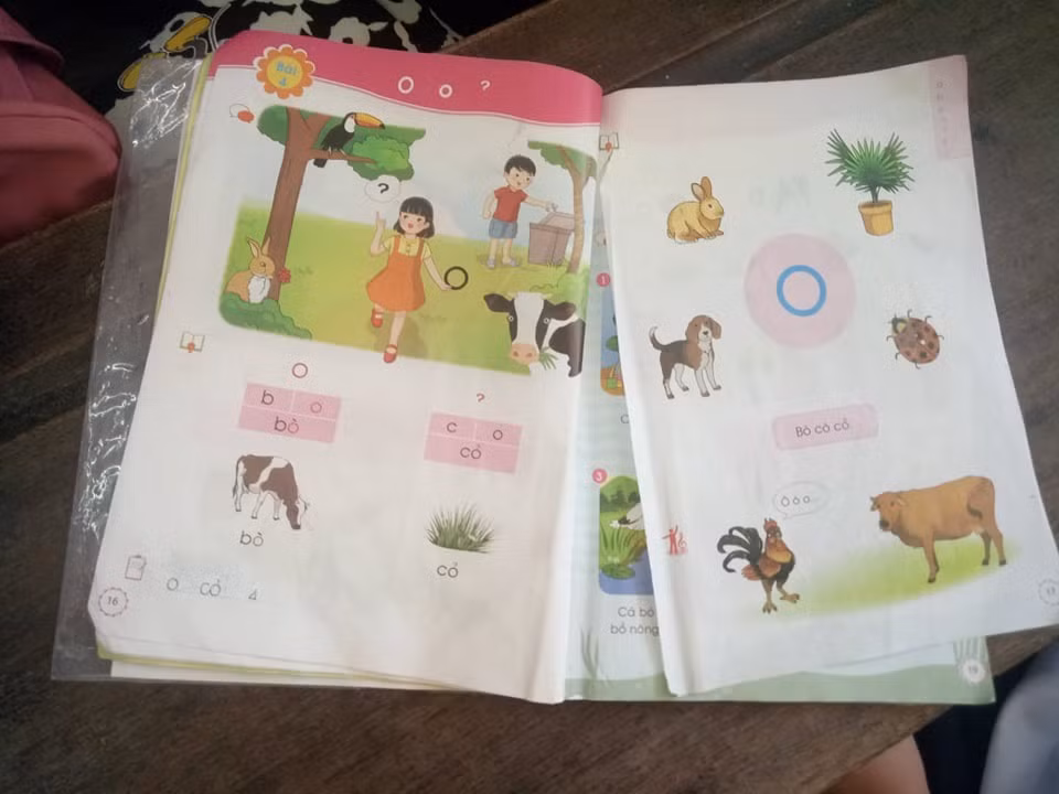 Sách rách thế này học sinh biết học sao? (Ảnh: Phan Tuyết) Sách rách thế này học sinh biết học sao? (Ảnh: Phan Tuyết)