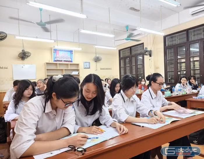 Học sinh Hải Phòng tăng tốc ôn thi (Ảnh Phạm Linh)