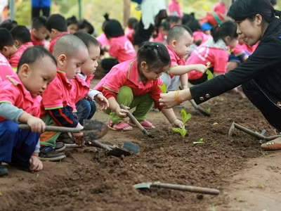Những con số “biết nói” về giáo dục mầm non trong năm qua (Ảnh minh họa: giaoduc.net.vn) Những con số “biết nói” về giáo dục mầm non trong năm qua (Ảnh minh họa: giaoduc.net.vn)