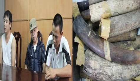 Các đối tượng và tang vật trong vụ buôn lậu ngà voi