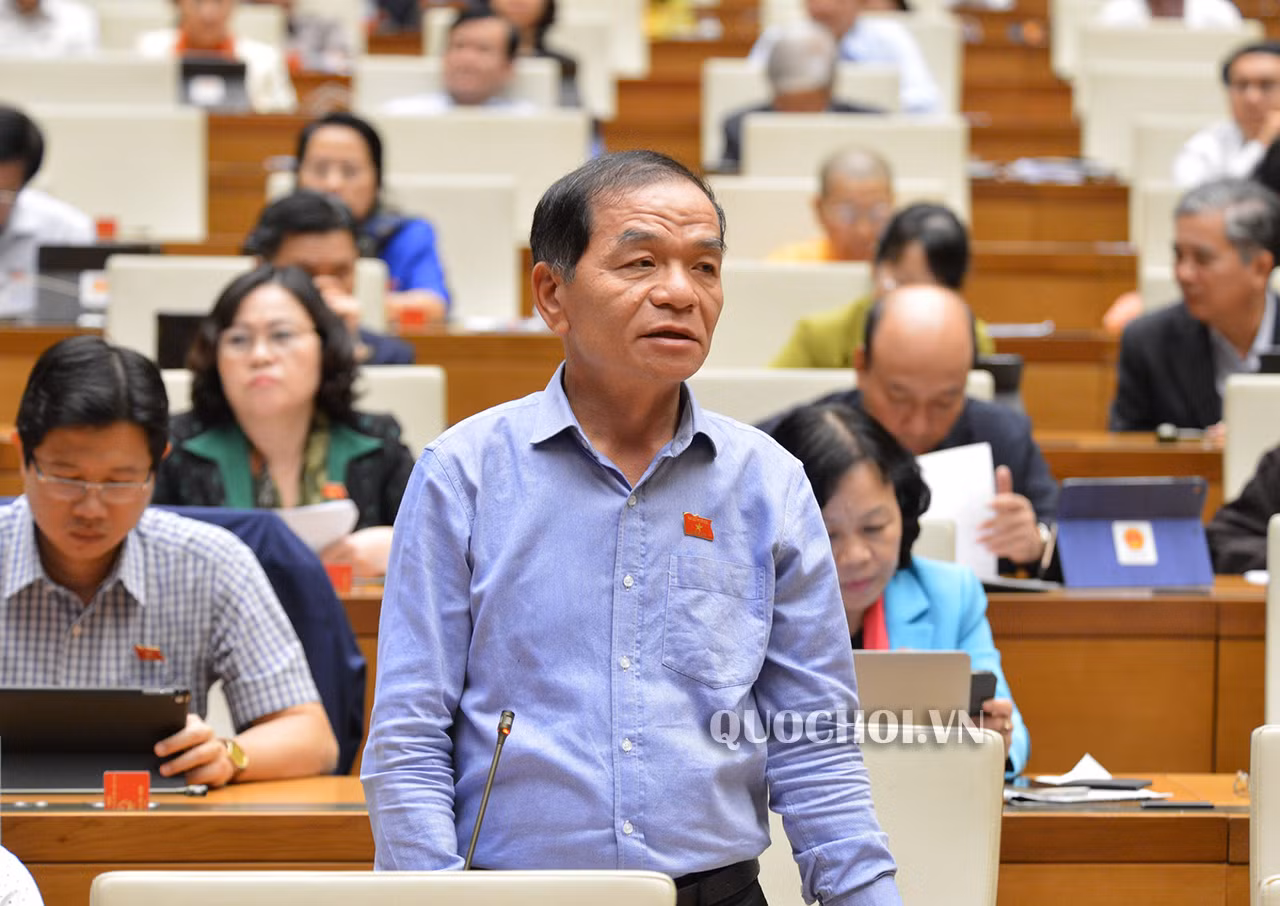 Đại biểu Lê Thanh Vân (ảnh: quochoi.vn)