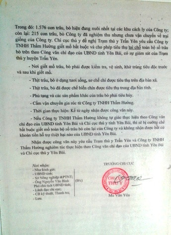 Văn bản "không số" của Chi cục Thú Y tỉnh Yên Bái yêu cầu Công ty Thẩm Hường phải giết mổ ngay lập tức gần 2.000 con trâu, bò.