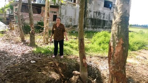 Nhiều gốc cây bị ông Hà Văn Phát chặt đẽo nham nhở Nhiều gốc cây bị ông Hà Văn Phát chặt đẽo nham nhở
