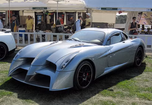 Panoz Abruzzi là mẫu grand tourer (xe hạng sang tính năng cao dành cho những chặng đường dài) do hãng xe Mỹ Panoz sản xuất với giá bán khoảng 536.000 USD. Xe sử dụng động cơ V8 công suất 650 mã lực và tốc độ tối đa hơn 322 km/h.