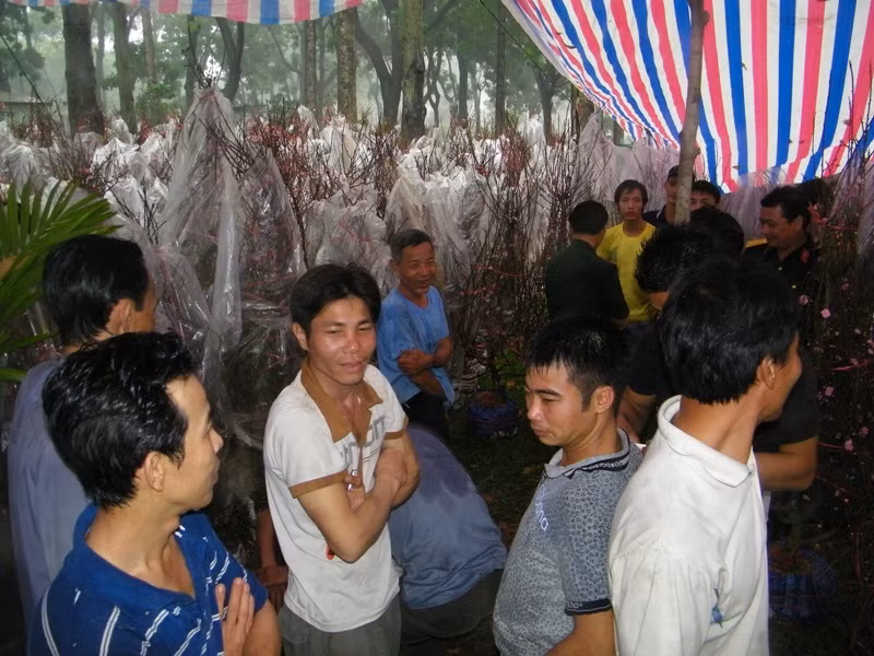 Vẻ mặt lo lắng của các “lái đào” trước cơn mưa chiều ngày 17.1 tại TP.HCM.