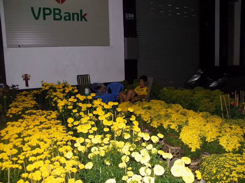 Cậu thanh niên trẻ măng Trần Khánh Tân đang ngồi giữa rừng hoa, dõi mắt trong đêm vắng trên đường Phan Xích Long (Phú Nhuận).