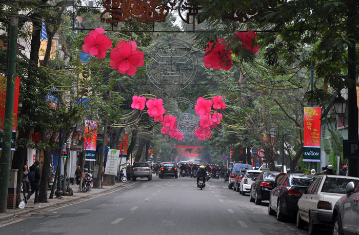 Khung hoa hướng dương, hoa sao, hoa giấy, hoa đào, hoa hồng… Rồi đến các loại khung trang trí cột đèn như sao chổi, khung pháo hoa, ngôi sao sẽ được sử dụng tại nhiều tuyến phố.