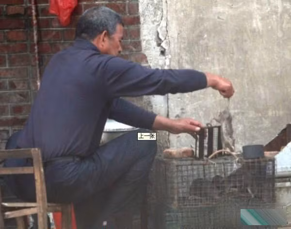 Bắt chuộc làm lông