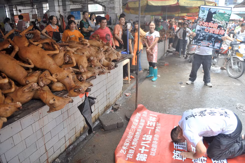"Lạy chó!"