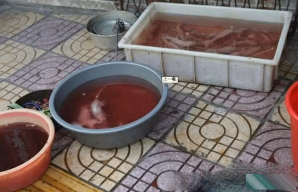 Làm lông chuột