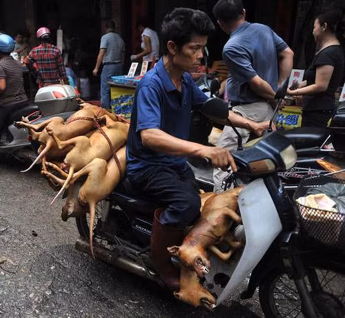Kẻ đến người đi, nhiều thì cả xe tải nhỏ, ít thì xe máy sáu bảy con