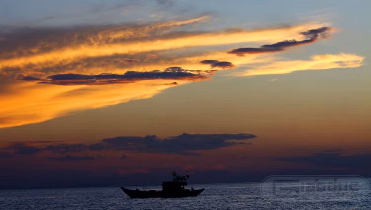 Một đám mây hình chim lạc đang bay về đất liền.