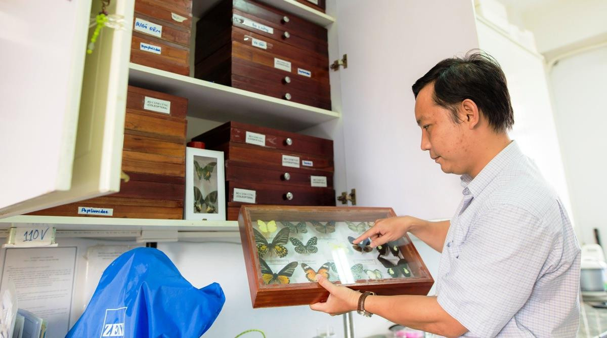 Tiến sĩ Phan Quốc Toản bên những mẫu vật thu được từ những cánh rừng già.