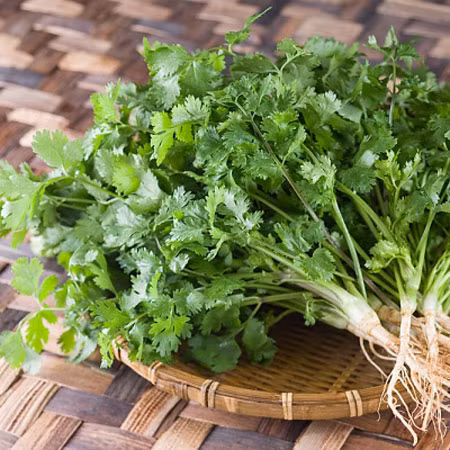 Theo y học cổ truyền, rau mùi có vị cay, tính ấm. Theo y học cổ truyền, rau mùi có vị cay, tính ấm.