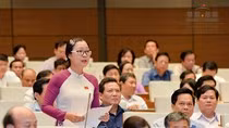 Vì sao Hà Nội lại quy hoạch trường học trên đất nghĩa trang, ao đình? ảnh 2 Vì sao Hà Nội lại quy hoạch trường học trên đất nghĩa trang, ao đình? ảnh 2
