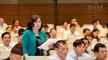 Giảng viên đại học không thích biên chế, chỉ hợp đồng với trường ảnh 3