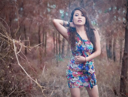 Đỗ Hồng Ý Vi (CĐ Kinh tế Kế hoạch TP Đà Nẵng)