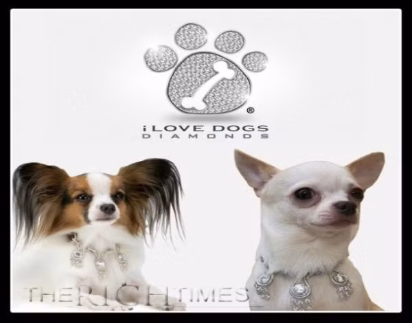 Mới đây, công ty I Love Dog đã tạo ra một bộ sưu tập vòng cổ đắt tiền dành riêng cho những chú cún mang tên “La Collection de Bijoux”. Bộ sưu tập vô cùng xa xỉ này gồm 6 chiếc và đều được gắn đá quý như kim cương, ngọc bích. Chiếc vòng rẻ nhất có giá 150.000 USD, còn chiếc đắt nhất lên tới vài triệu đô. Mới đây, công ty I Love Dog đã tạo ra một bộ sưu tập vòng cổ đắt tiền dành riêng cho những chú cún mang tên “La Collection de Bijoux”. Bộ sưu tập vô cùng xa xỉ này gồm 6 chiếc và đều được gắn đá quý như kim cương, ngọc bích. Chiếc vòng rẻ nhất có giá 150.000 USD, còn chiếc đắt nhất lên tới vài triệu đô.