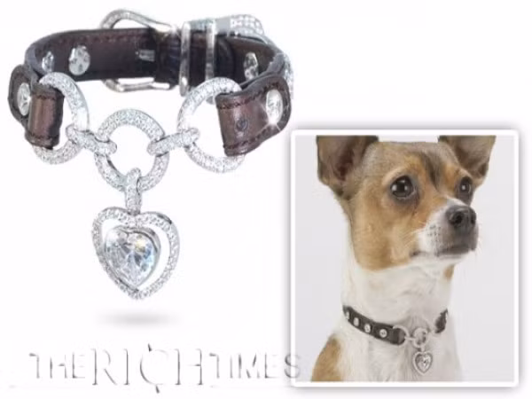 La Jeune Chéri Chiếc vòng cổ nặng 15 carat được thiết kế lấy cảm hứng từ sự hoạt bát và hơi ấm tỏa ra từ những chú chó.Trung tâm của nó là viên kim cương hình trái tim nặng 3,5 carat. Nó còn rực rỡ hơn khi được đính thêm 8 viên kim cương nặng 5 carat và 470 viên kim cương nhỏ trên dải da cá sấu. Món quà dành cho chú chó cưng này có giá 378.000 USD. La Jeune Chéri Chiếc vòng cổ nặng 15 carat được thiết kế lấy cảm hứng từ sự hoạt bát và hơi ấm tỏa ra từ những chú chó.Trung tâm của nó là viên kim cương hình trái tim nặng 3,5 carat. Nó còn rực rỡ hơn khi được đính thêm 8 viên kim cương nặng 5 carat và 470 viên kim cương nhỏ trên dải da cá sấu. Món quà dành cho chú chó cưng này có giá 378.000 USD.