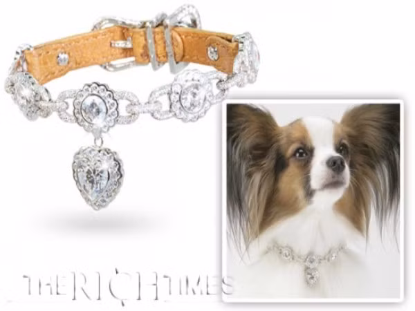 La Chéri Chiếc vòng Chéri nặng 25 carat này có điểm nhấn là viên kim cương hình trái tim cực kỳ lấp lánh. Xung quanh chiếc vòng là 5 viên nhỏ hơn, mỗi viên nặng 1 carat cùng với 630 viên kim cương được đính kèm. Giá của nó là 498.000 USD. La Chéri Chiếc vòng Chéri nặng 25 carat này có điểm nhấn là viên kim cương hình trái tim cực kỳ lấp lánh. Xung quanh chiếc vòng là 5 viên nhỏ hơn, mỗi viên nặng 1 carat cùng với 630 viên kim cương được đính kèm. Giá của nó là 498.000 USD.