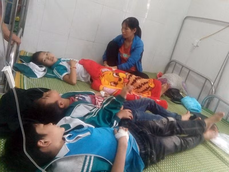 Sở Giáo dục tỉnh Thái Nguyên có trách nhiệm gì khi sữa Fami Kid vào trường học? ảnh 5