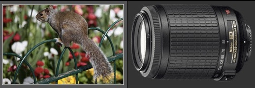 Ống zoom xa: Sau khi mua các ống zoom cơ bản thì chúng ta chuyển sang các ống zoom tầm xa, chẳng hạn như 55-200mm F4.5-5.6 hay 75-300mm F4-5.6.. Các ống kính này thích hợp cho chụp thể thao, động vật hay trẻ em từ xa.