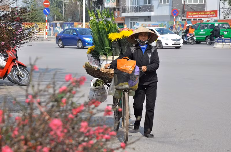 Không chỉ cành đào mà thị trường hoa trong dịp này cũng bán chạy bởi nhu cầu trang trí nhà cửa đón Tết của người dân.