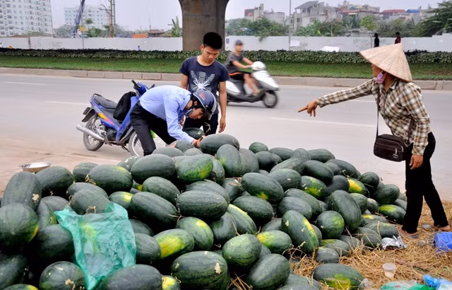 Tuy nhiên đây cũng là mức giá mà nhiều người tiêu dùng chấp nhận được. Nhiều người ví von rằng: “1 kg dưa hấu bằng 3 cốc trà đá”.