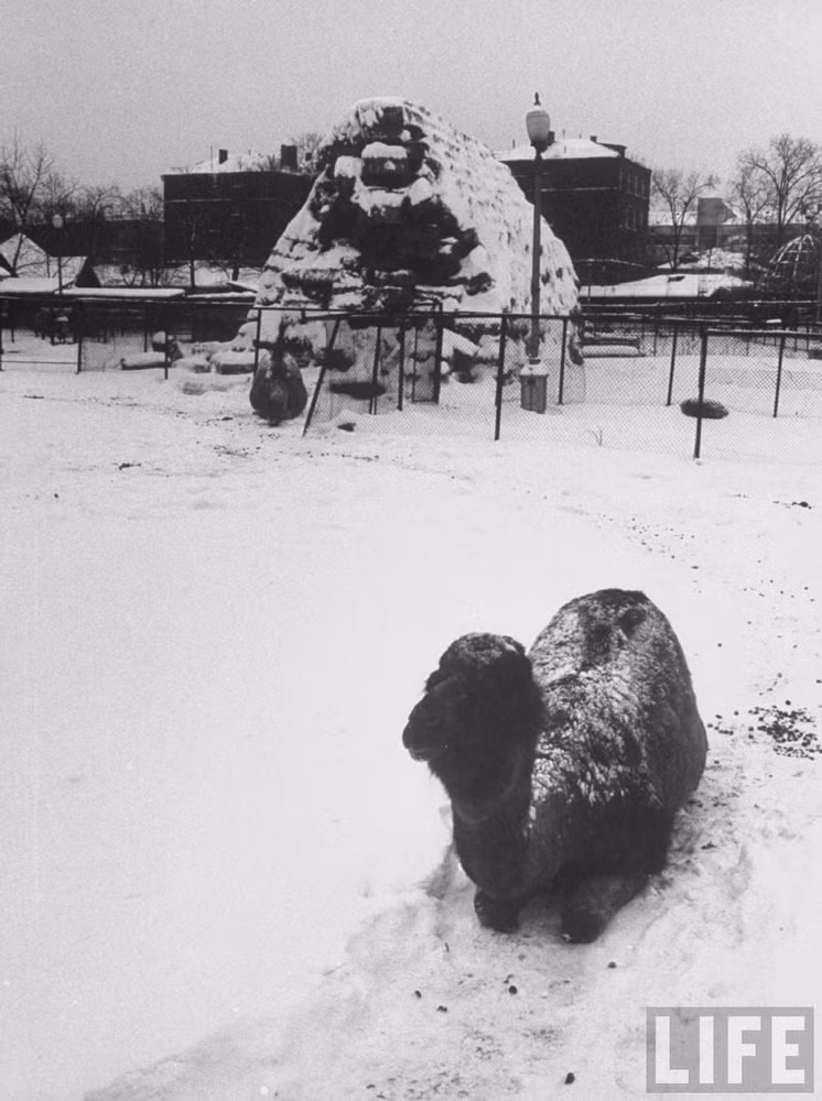 Moscow, Nga mùa Đông năm 1959