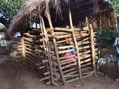 Một cô gái bị nhốt trong cũi suốt 3 năm