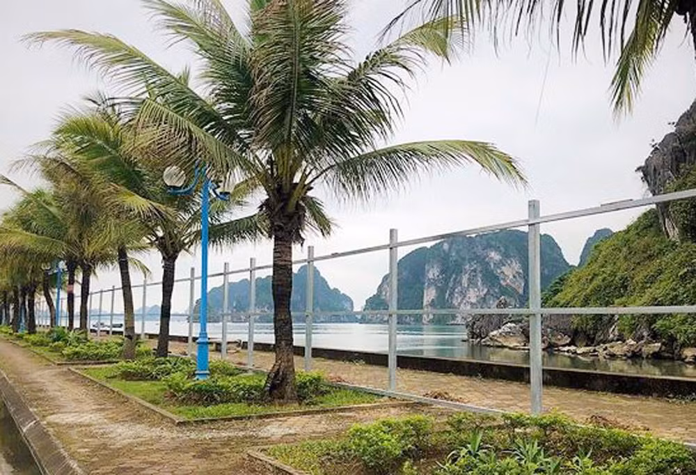 Người dân và du khách cho rằng việc lấn biển để mở rộng đường sẽ phá vỡ cảnh quan Vịnh Hạ Long (Ảnh: Lã Tiến)