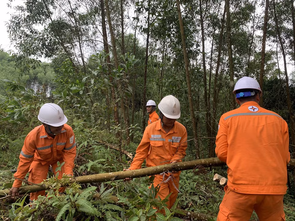 Công nhân Điện lực Hà Tĩnh ra quân xử lý, phát quang hành lang an toàn lưới điện.
