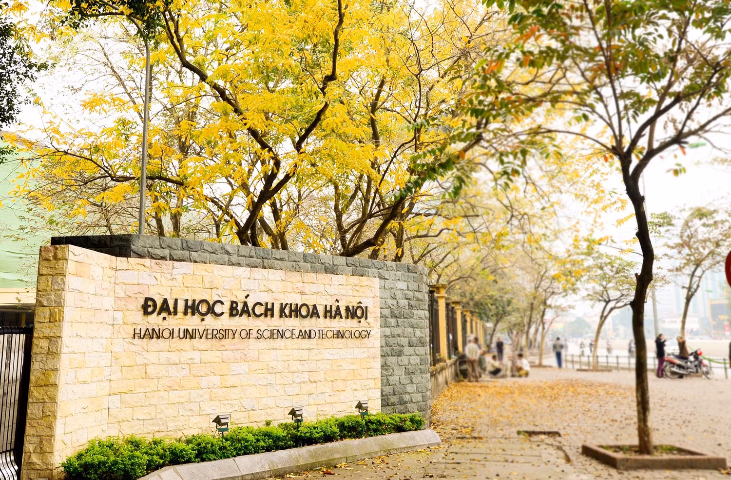 Ảnh minh họa: Kim Chi Ảnh minh họa: Kim Chi