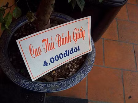 Đánh giầy cũng có đẳng cấp rõ ràng.