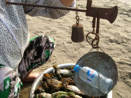 Cuộc mua bán đầy những tình huống “kéo cưa lừa xẻ”. Trong ảnh: Một du khách đáo để đòi kiểm tra cân bằng chai nước suối. Lần này chị gặp may vì cái cân chỉ hơi già một chút, nhưng chị cho biết lần trước một cái cân khác đã cân chai nước suối 350 ml này thành 600gr.