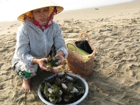 Du khách được khuyến cáo không mua hàng rong, không mua hải sản bán ở bãi biển