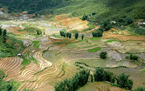 "Qua miền Tây Bắc núi vút ngàn trùng xa, suối sâu đèo cao bao khó khăn vượt qua...". .Mùa con nước đổ trên ruộng đồng Tây Bắc thân thương.