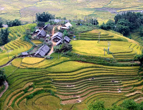 Một đại gia đình người H'Mông.