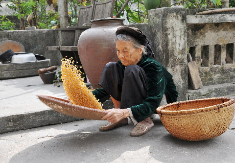 Tảo tần bà tôi.